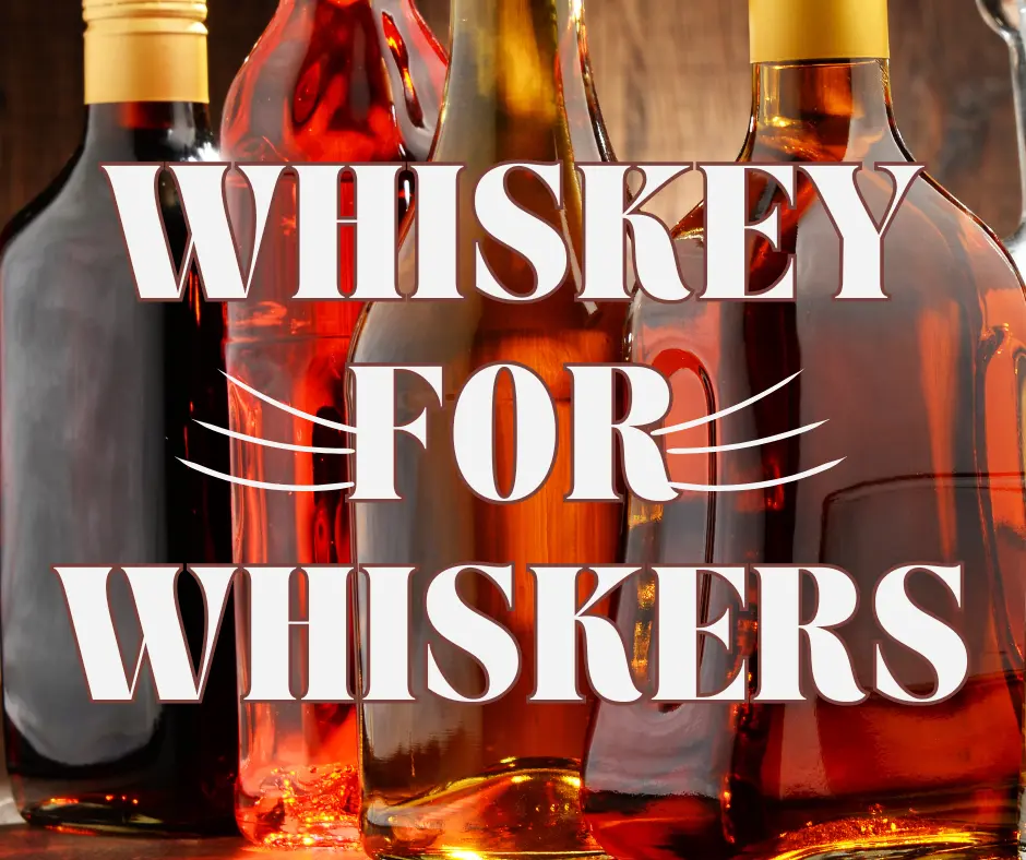 Background: four unlabeled glass bottles with brown liquids. Foreground: white text 'Whiskey for Whiskers'